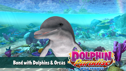 Рецензия Dolphin Paradise: Wild Friends Рецензия Dolphin Paradise: Wild Friends